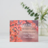 Weddenschappen redden de najaarsdag van de robok briefkaart (Staand voorkant)