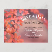 Weddenschappen redden de najaarsdag van de robok briefkaart (Voorkant)