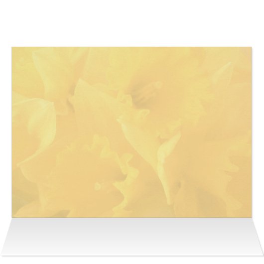 Weddenschapskaarten 2 (Binnen Horizontaal (Boven))