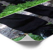 Weddenschoenen Poster (Hoek)