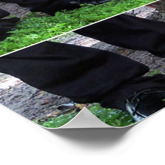 Weddenschoenen Poster (Hoek)