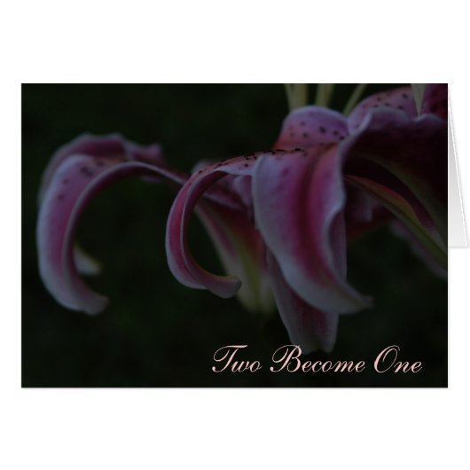 Weddenskaart - Haiku (Voorkant Horizontaal)