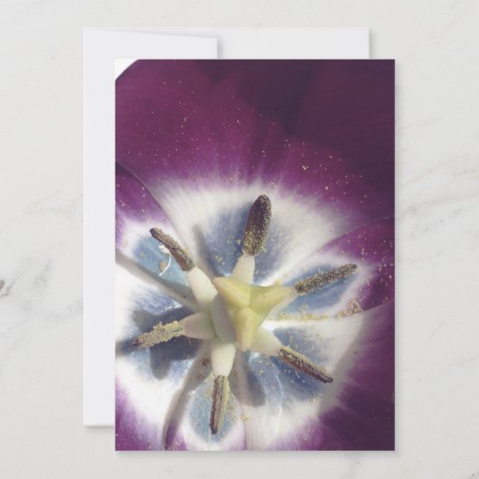 Weddensuitnodiging, Paarse Tulips foto Kaart (Achterkant)