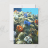 Weddensuitnodiging | RSVP onderwater Uitzicht Kaartje (Achterkant)