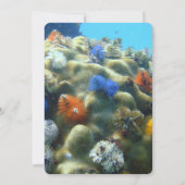 Weddensuitnodiging | Uitzicht onderwater Kaart (Achterkant)