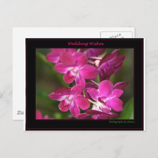 Wedding Briefkaart (Voorkant / Achterkant)