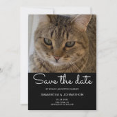 Wedding Cat Foto Save The Date (Voorkant)