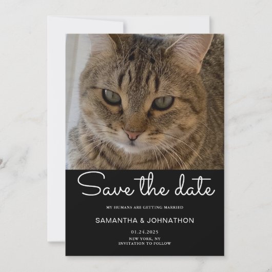 Wedding Cat Foto Save The Date (Voorkant)