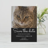 Wedding Cat Foto Save The Date (Staand voorkant)