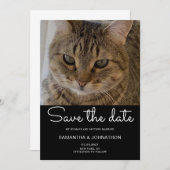 Wedding Cat Foto Save The Date (Voorkant / Achterkant)