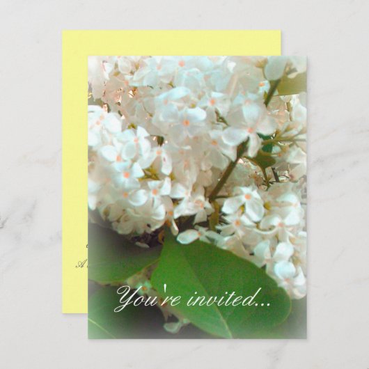 Wedding Invitation - White Lilacs Kaart (Voorkant / Achterkant)