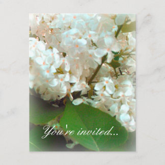 Wedding Invitation - White Lilacs Kaart