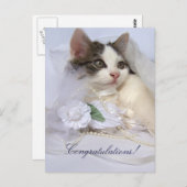 Wedding Kitten Briefkaart (Voorkant / Achterkant)