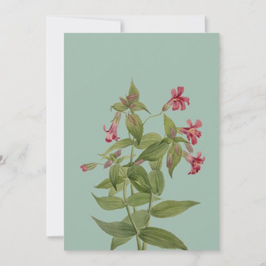 Wedding Reception Invitations  Kaart (Achterkant)