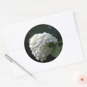 Wedding Stickers Gorgood White Hydrangea (Envelop)