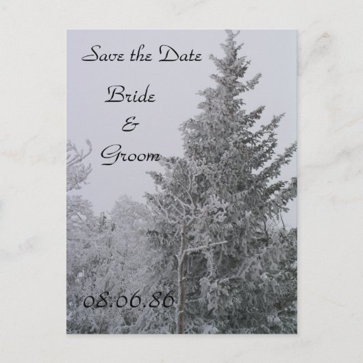 Wedding Winter Pine Tree Briefkaart (Voorkant)
