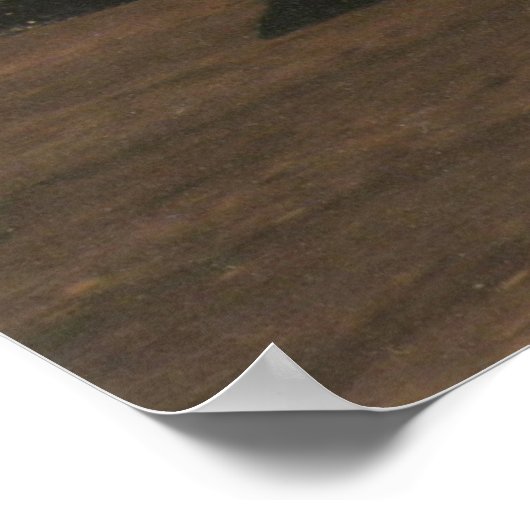 Wedel Racing Poster (Hoek)