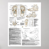 Wederkerigheid en Poster van het Acupunctiepunt (Voorkant)