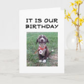 "WEDERZIJDSE BIRTHDAY" KAART (Gele Bloem)