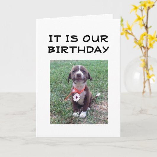 "WEDERZIJDSE BIRTHDAY" KAART (Gele Bloem)