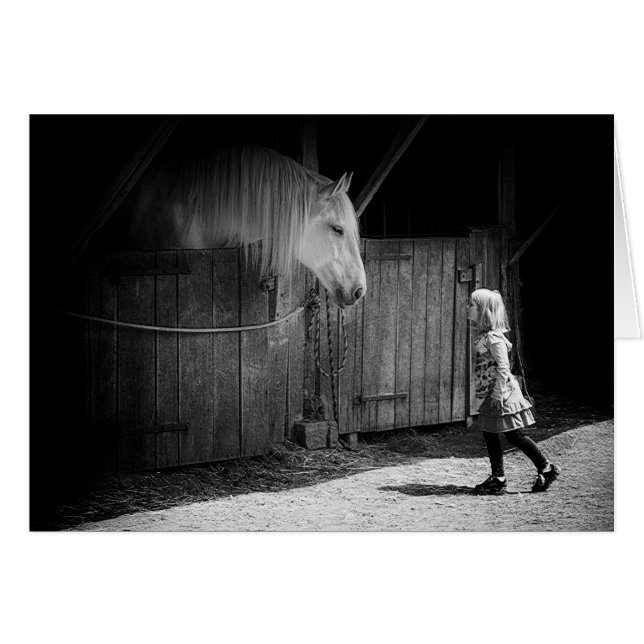 Wederzijdse nieuwsgierigheid (Voorkant Horizontaal)