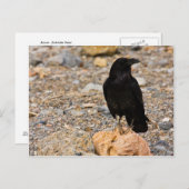 Wederzijdse nieuwsgierigheid briefkaart (Voorkant / Achterkant)