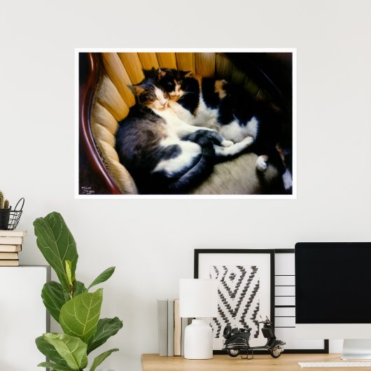 Wederzijdse ondersteuning poster (Thuiskantoor)