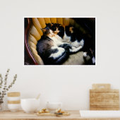 Wederzijdse ondersteuning poster (Keuken)