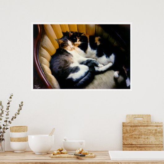 Wederzijdse ondersteuning poster (Keuken)