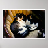 Wederzijdse ondersteuning poster (Voorkant)