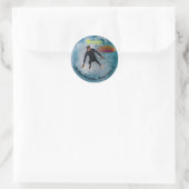 Wedge Wipeout Sticker (Tas)
