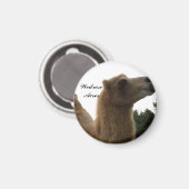 Wedrose Acres kamelenmagneet Magneet (Voorkant / Achterkant)