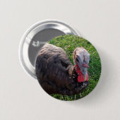 Wedrose Acres knop 1 Ronde Button 5,7 Cm (Voorkant /achterkant)