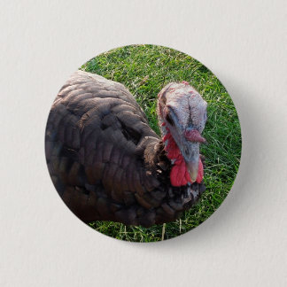 Wedrose Acres knop 1 Ronde Button 5,7 Cm