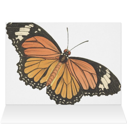 Wedstrijktabel nummer Antiek  plaatskaarten (Binnen Horizontaal (Boven))