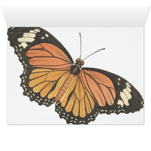 Wedstrijktabel nummer Antiek  plaatskaarten (Binnen Horizontaal (Onder))