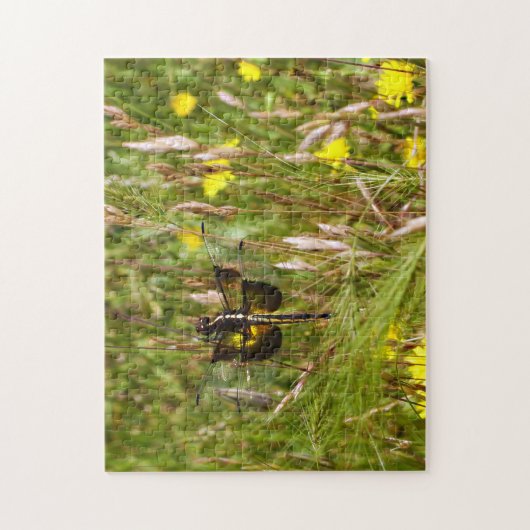 weduwe skimmer. legpuzzel (Verticaal)