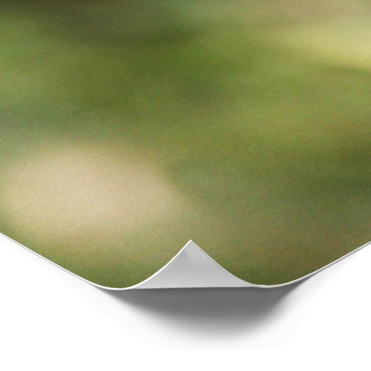 weduwe skimmer poster (Hoek)