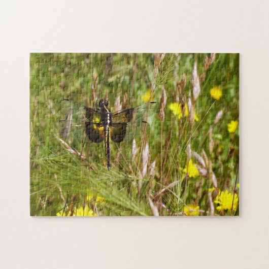 Weduwenrokkendrager. Legpuzzel (Horizontaal)