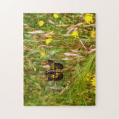Weduwenrokkendrager. Legpuzzel (Verticaal)