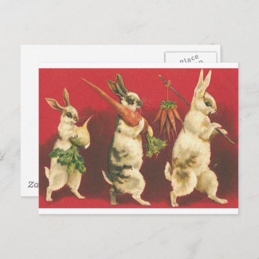 Wee drie konijnen briefkaart (Voorkant / Achterkant)