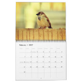 Wee Sparrow Kalender (Feb 2027)