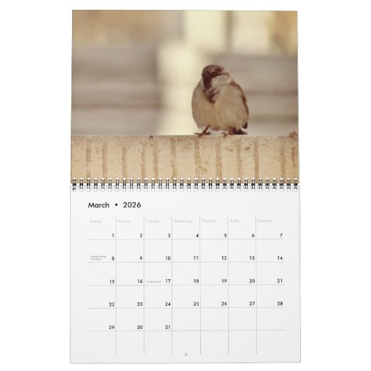Wee Sparrow Kalender (Mar 2026)