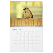 Wee Sparrow Kalender (Feb 2026)