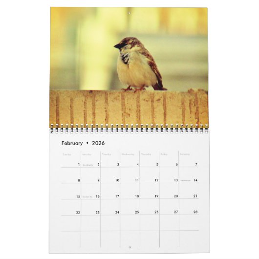 Wee Sparrow Kalender (Feb 2026)