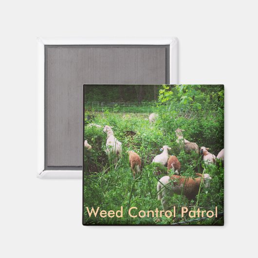 Weed Control Patrol Magnet (Voorkant / Achterkant)
