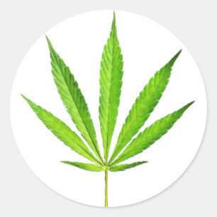 WEED LEAF RONDE STICKER