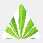 WEED LEAF STICKER (Voorkant)