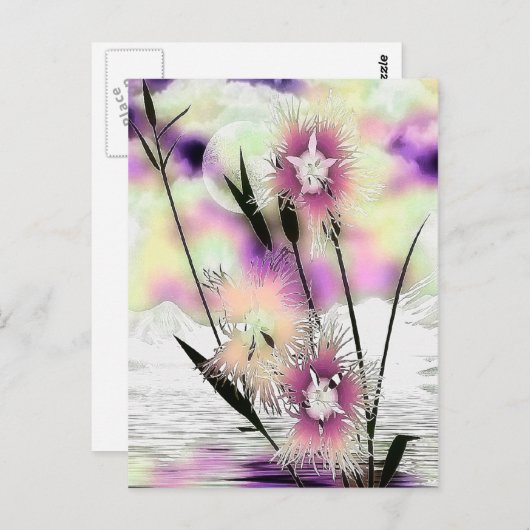 Weeds & Mist Natuur Art Briefkaart (Voorkant / Achterkant)