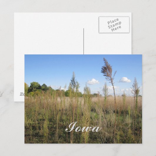 Weeds, Trees en Sky Iowa Briefkaart (Voorkant / Achterkant)